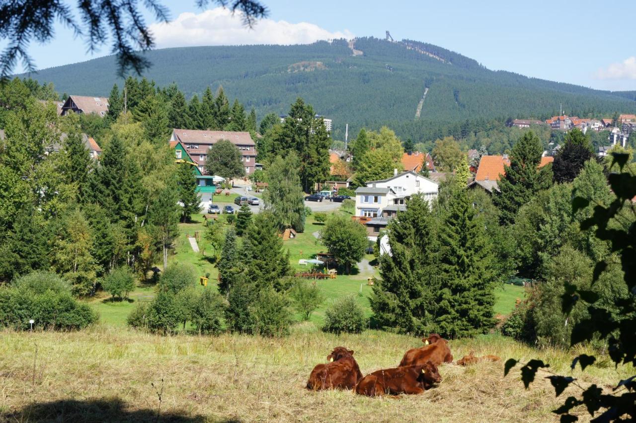 Paulsberg`s Villa Braunlage Exteriör bild